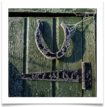 frozen shed 1 - Alan Taylor.